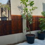 garden fencing bamboo
