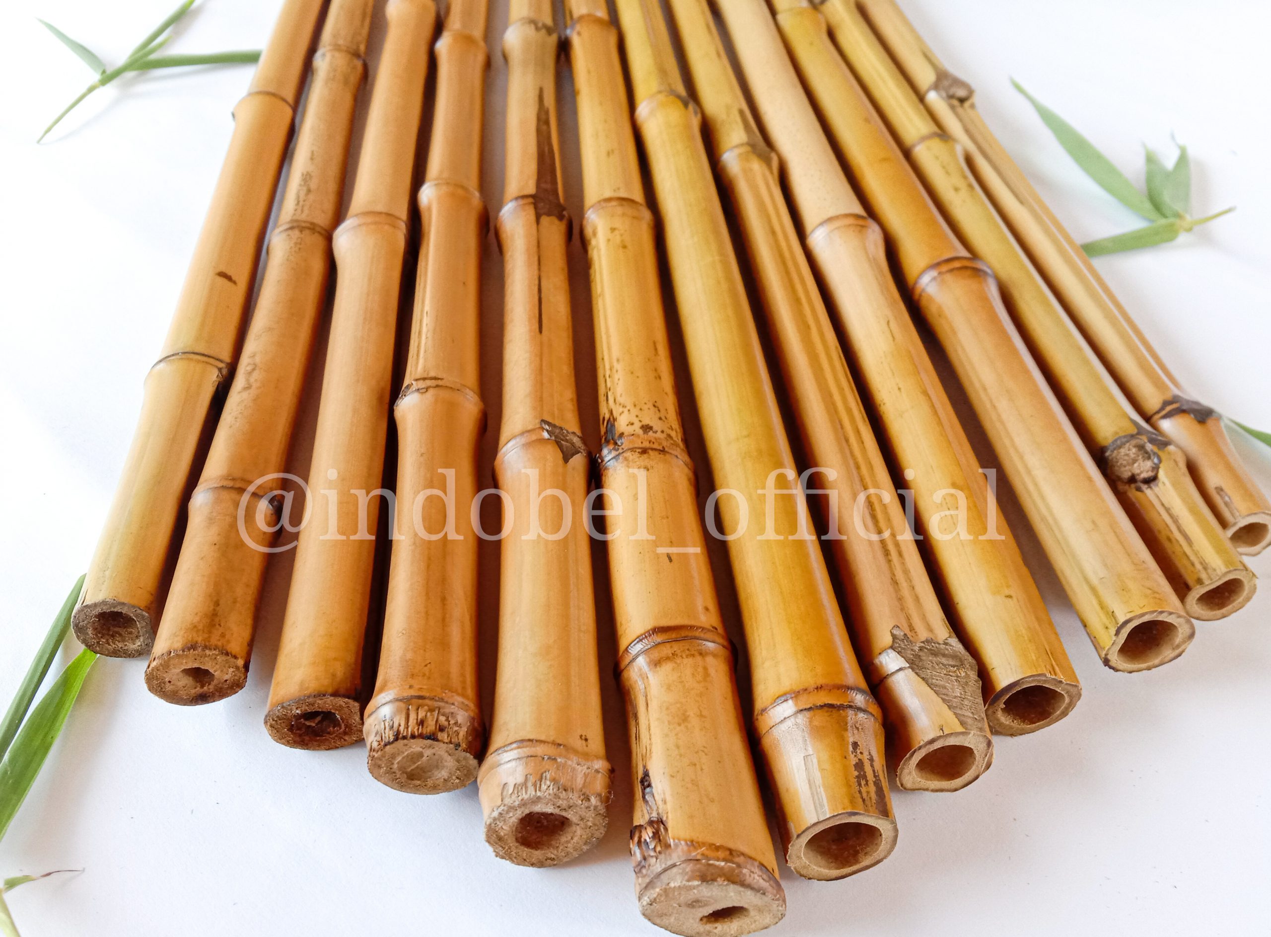 Bamboo Cane INDOBEL BAMBOO MERAPI