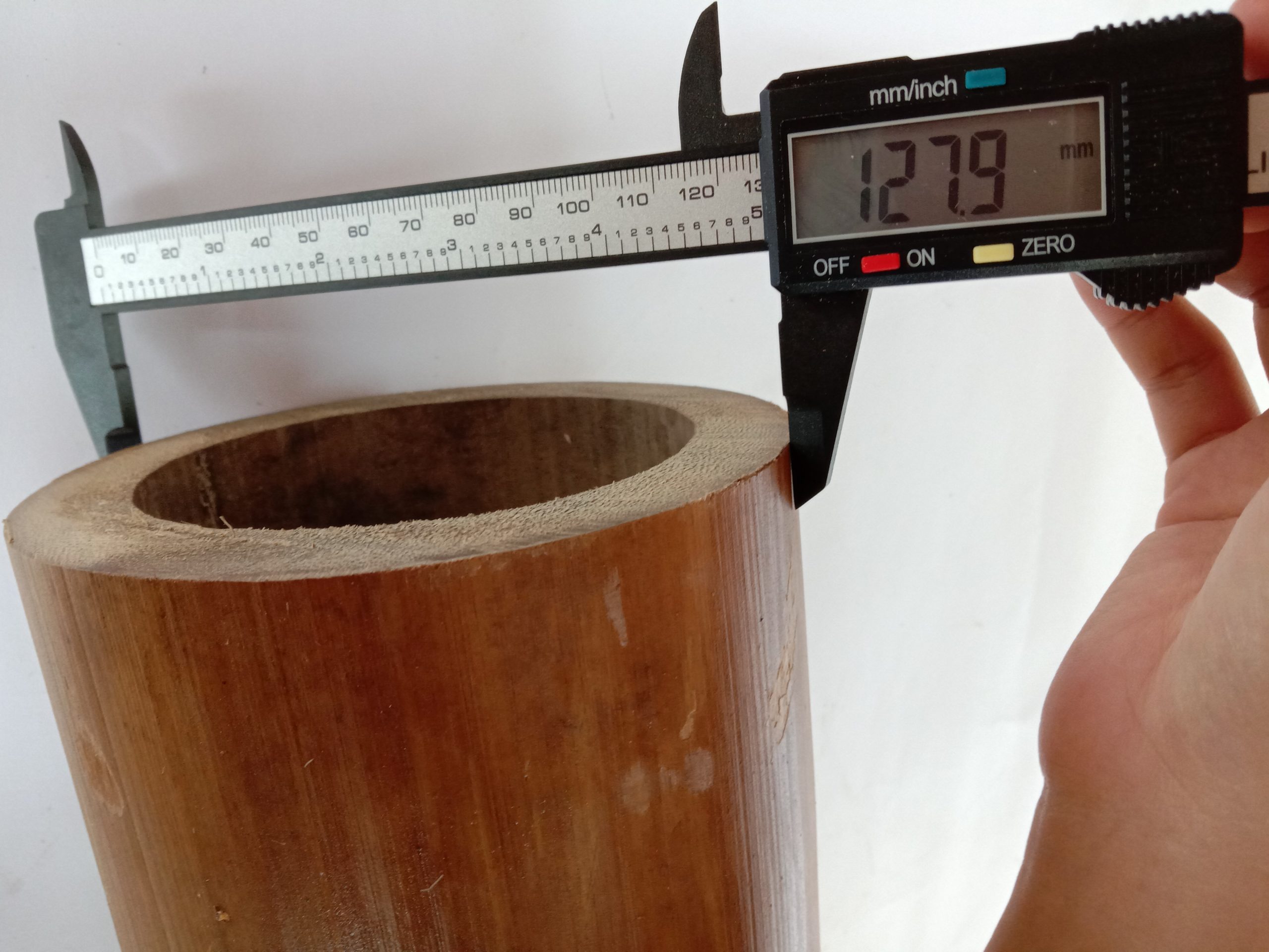 giant bamboo indobel