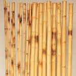 small bamboo pattern
