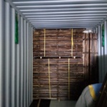 12 Aug 2021 (Boby 2 - Ausi) 1