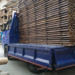 12 Aug 2021 (Boby 2 - Ausi) 3