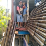 12 Aug 2021 (Boby 2 - Ausi) 4