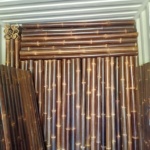 22 MArch 2021 (Simaar - Ausi) 4