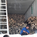 24 Sept 2021 (Jesper - Cabo Verde)