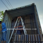 26 Oct 2021 (Ankur - Ausi) 3