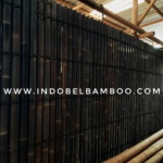 20220705_154528-01-01