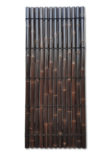 Gemini_Generated_Image_mbjrqnmbjrqnmbjr-removebg-preview (1)