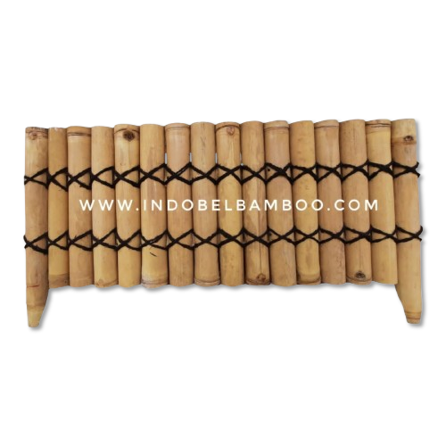 IMG-20220717-WA0000-removebg-preview