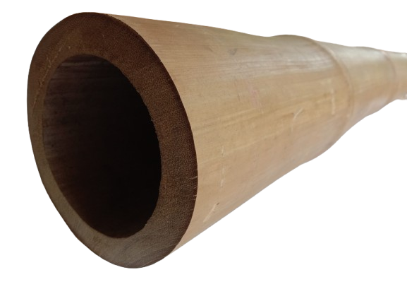 UploadPetung-Treated-15-scaled-removebg-preview