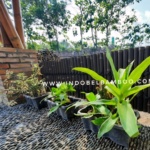 WhatsApp Image 2025-10-17 at 16.03.15