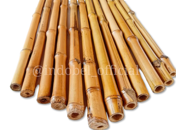 WhatsApp_Image_2025-10-03_at_11.35.55__1_-removebg-preview