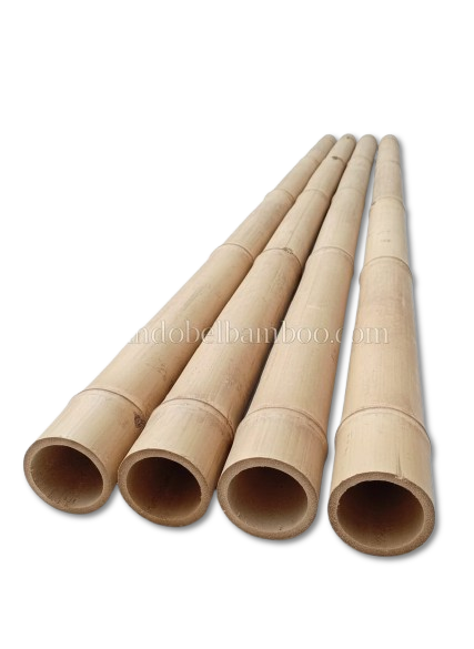 WhatsApp_Image_2025-10-09_at_10.53.49-removebg-preview