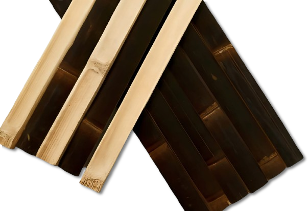 WhatsApp_Image_2025-10-13_at_15.38.09-removebg-preview