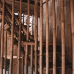 pexels-rachel-claire-4577658